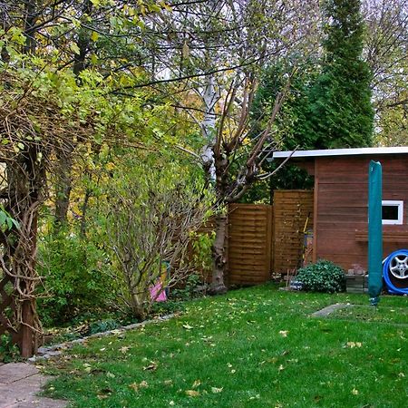 Mycozyplace - Zwei Gemuetliche Zimmer Fuer Vier Dresden Exteriör bild