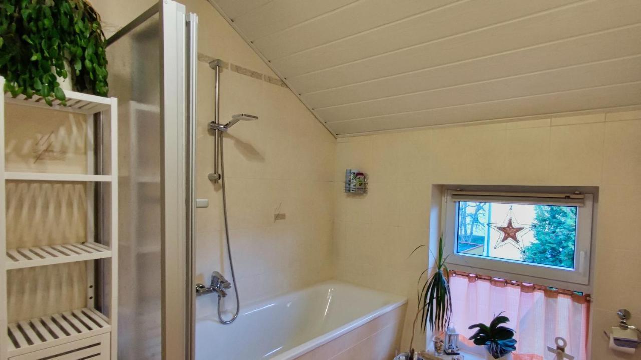 Mycozyplace - Zwei Gemuetliche Zimmer Fuer Vier Dresden Exteriör bild