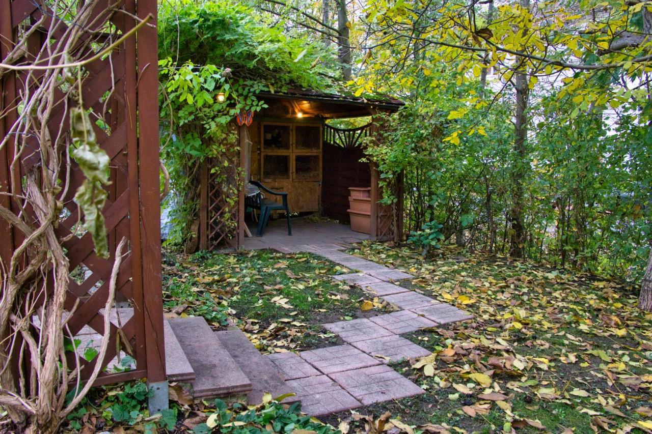 Mycozyplace - Zwei Gemuetliche Zimmer Fuer Vier Dresden Exteriör bild