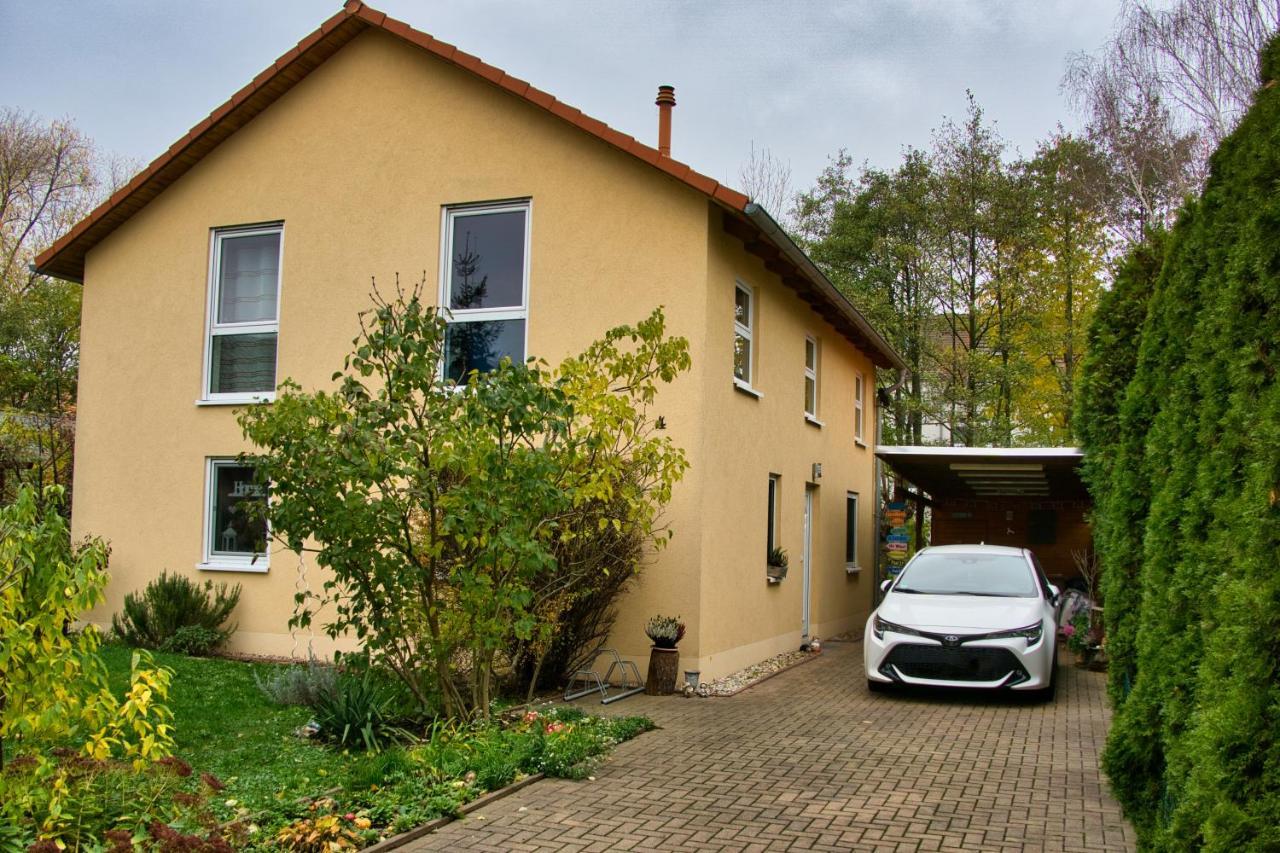 Mycozyplace - Zwei Gemuetliche Zimmer Fuer Vier Dresden Exteriör bild
