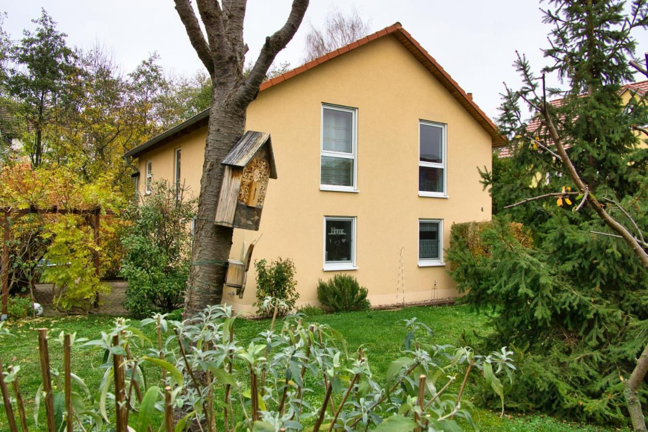 Mycozyplace - Zwei Gemuetliche Zimmer Fuer Vier Dresden Exteriör bild